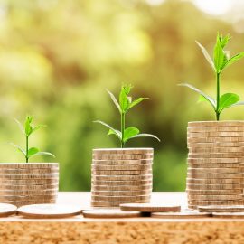 Comment être rassurer de la rentabilité d’un investissement?